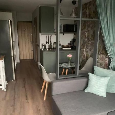 Apartment Near Ozas 维尔纽斯 外观 照片